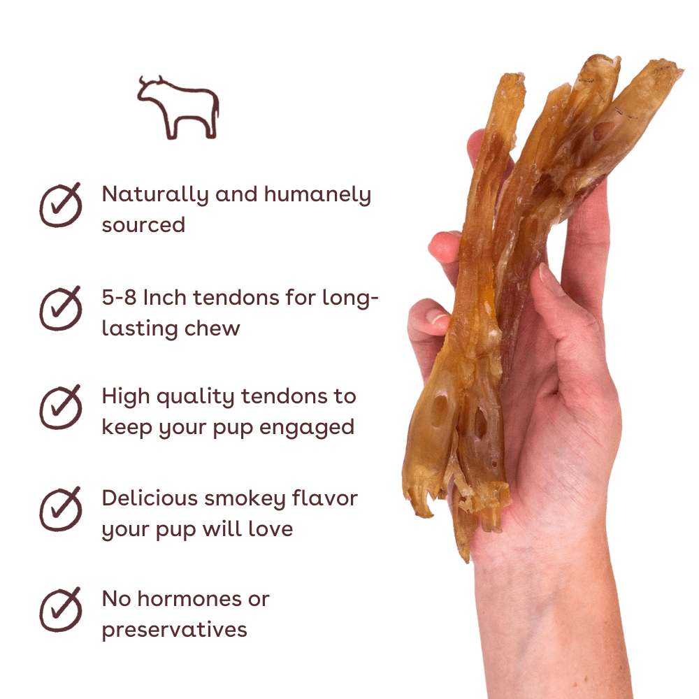 Pupford - Standard Beef Tendon Dog Chew 4 Pack