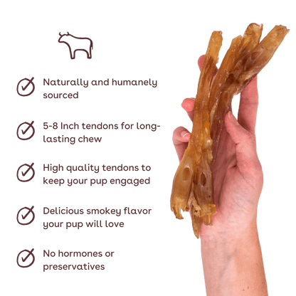 Pupford - Standard Beef Tendon Dog Chew 4 Pack