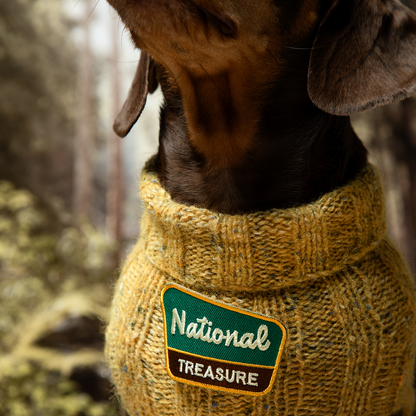 Scout's Honour - National Treasure iron-on patch for dogs