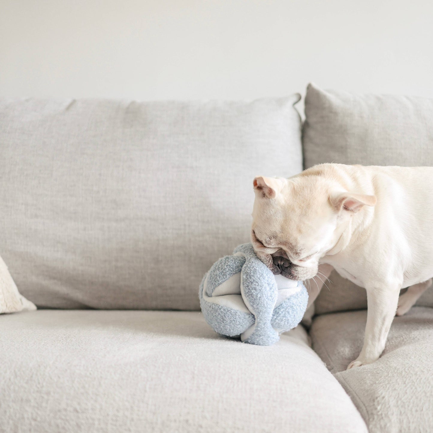 Lambwolf Collective - MONTI//ENRICHMENT DOG TOY: Oat