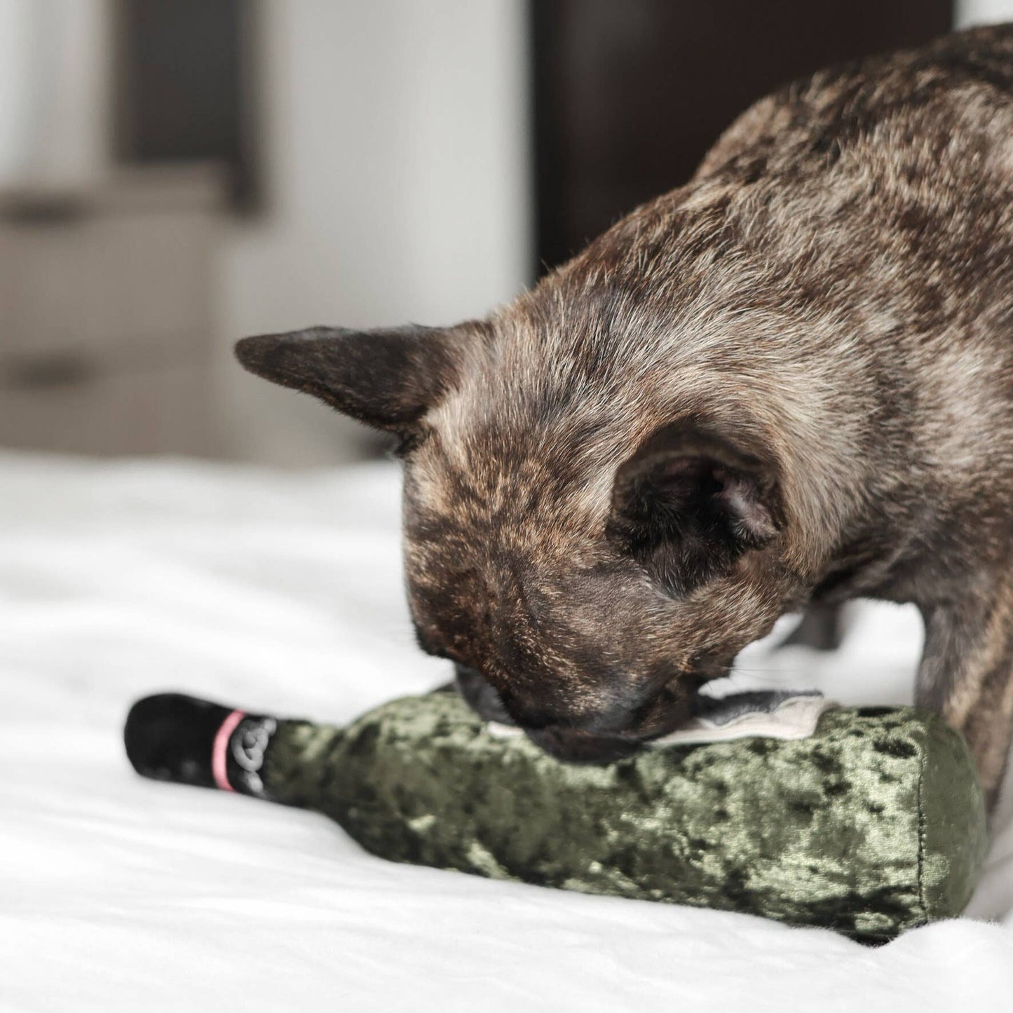 Lambwolf Collective - MERLOT // ENRICHMENT DOG TOY // SNUFFLE TOY