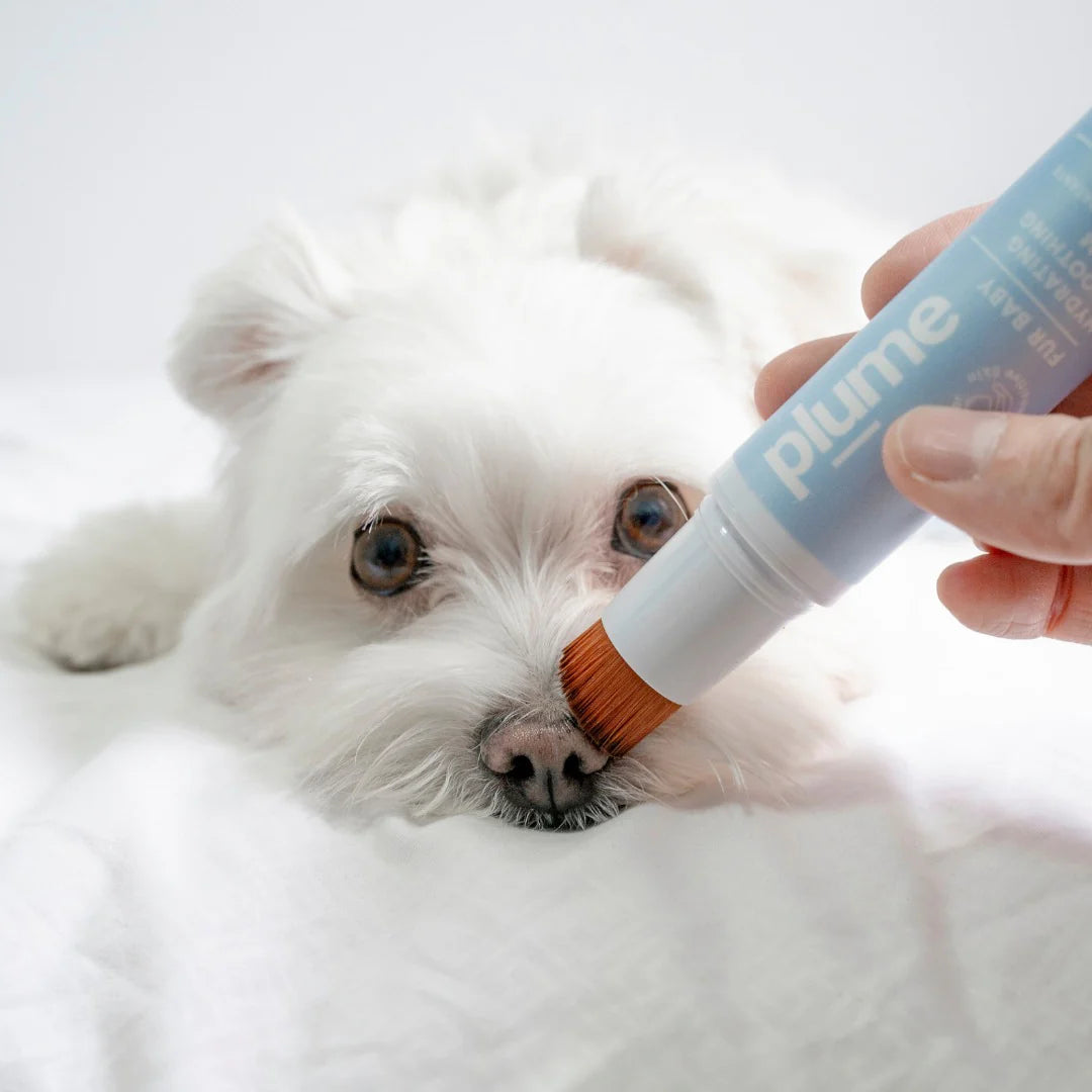 Plume Care - Hydrating & Soothing Cream for Paws, Elbows & Nose - Sensitive Skin Approved