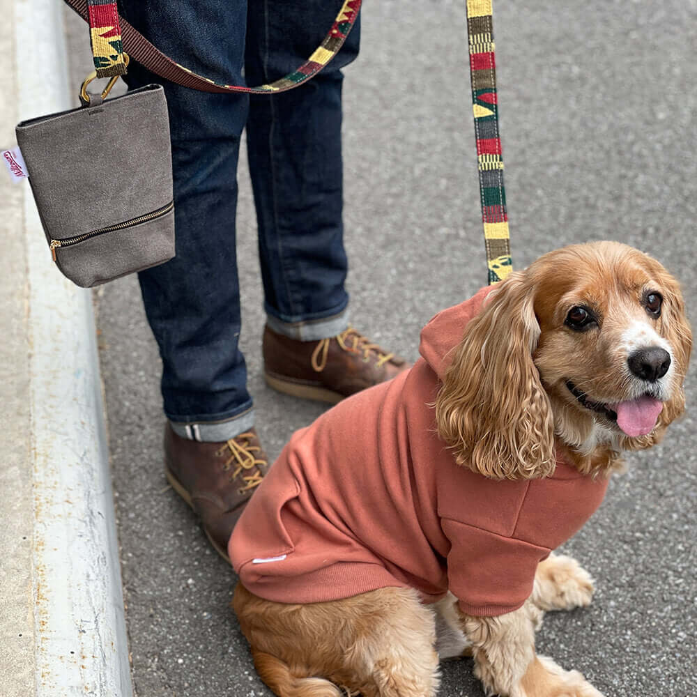 Auburn A Tail We Could Wag Leash - Traditional Earth