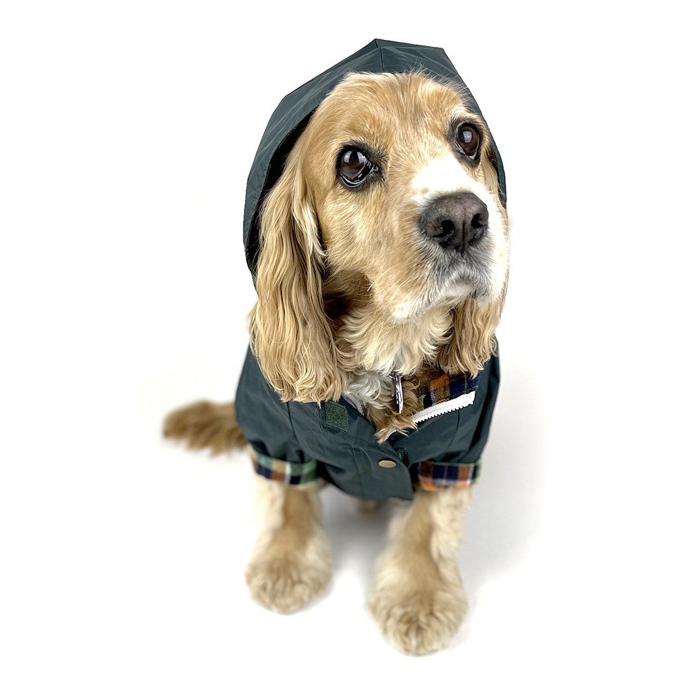 Dog Rain Jacket - Forest Green 2.0