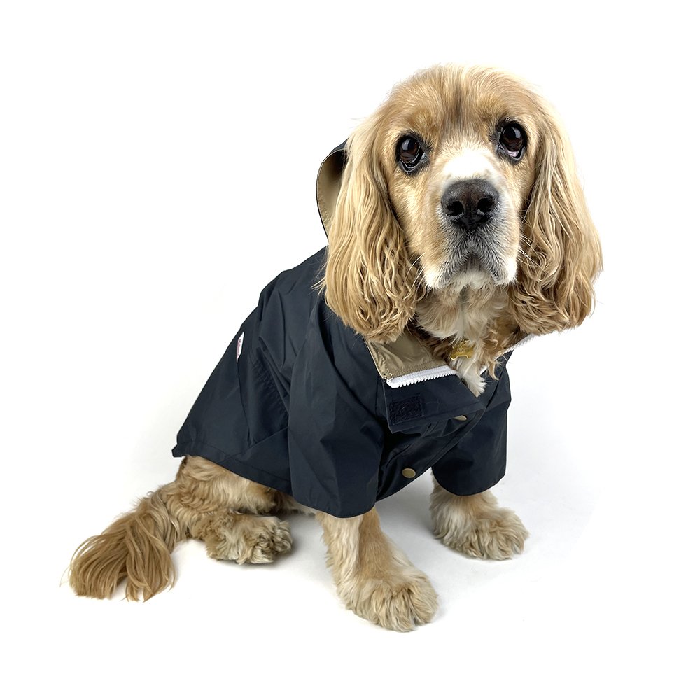 Black dog cheap rain jacket