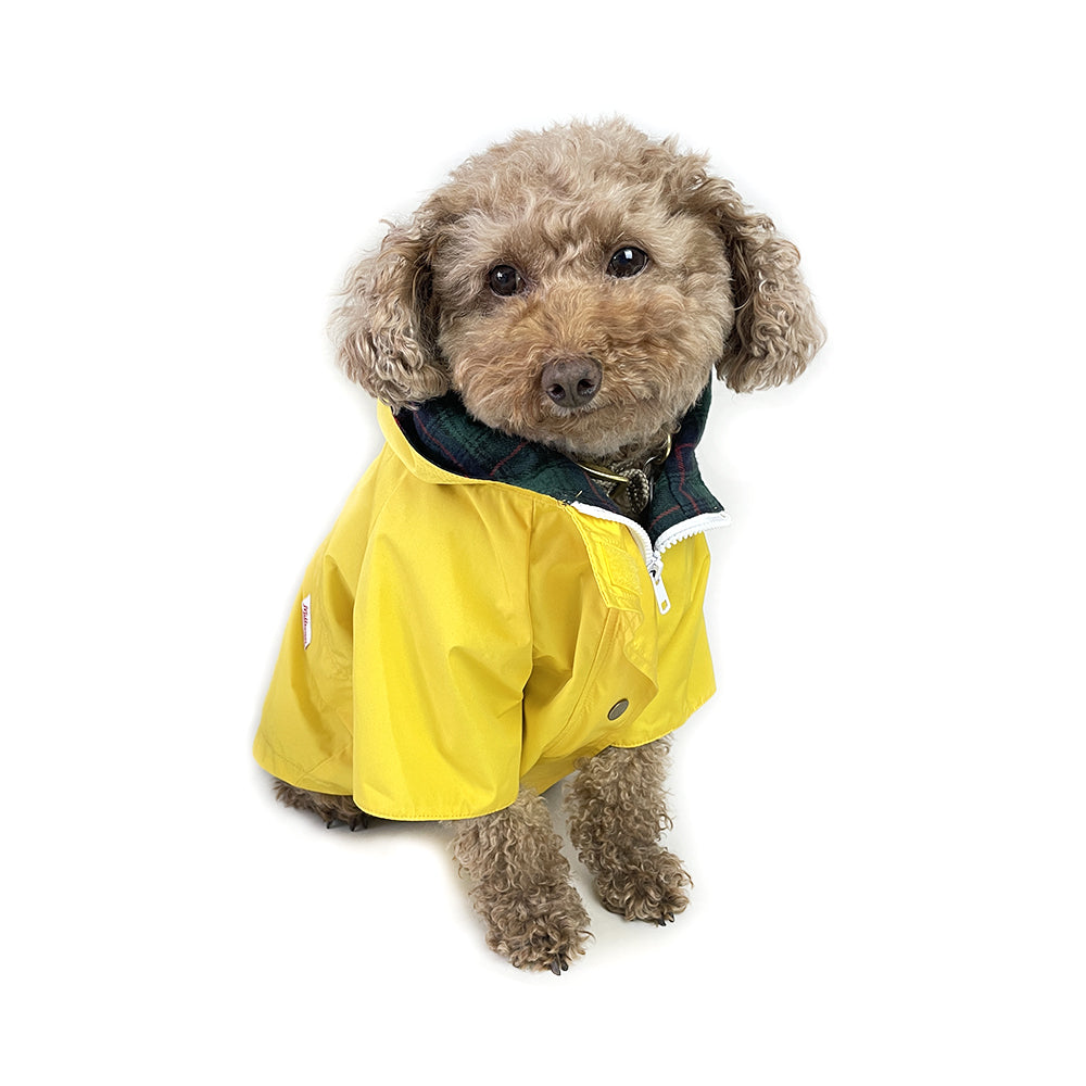 Yellow fashion dog jacket