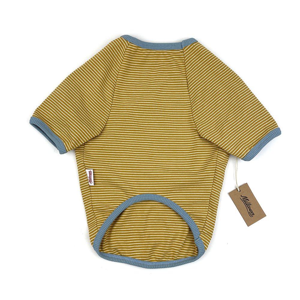 Dog Stripe Rib T-shirt  - Honey x Baby Blue Stripe