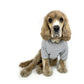 Dog Stripe Rib T-shirt  -White x Sage Stripe